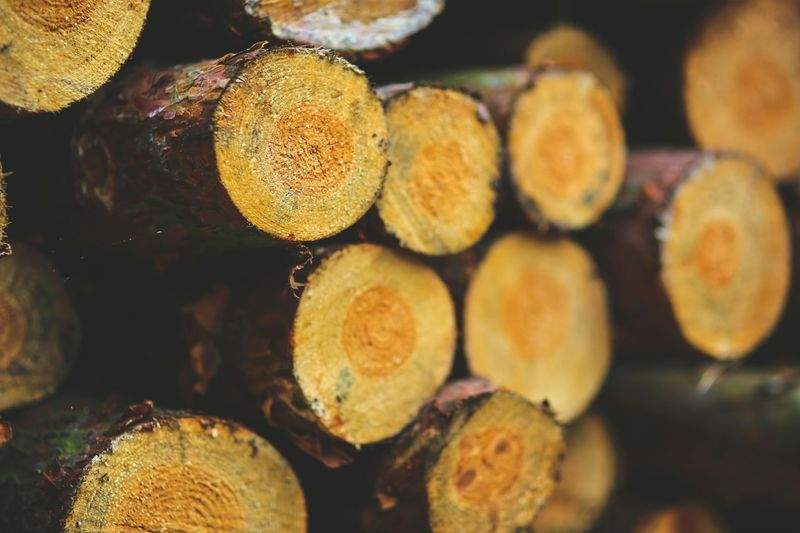 PolsterDesign Meisterwerkstatt - Image 3